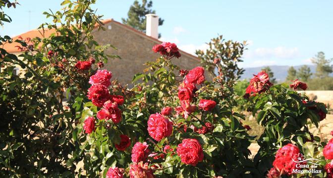 Гостьовий будинок Casa Das Magnolias Фундан Екстер'єр фото